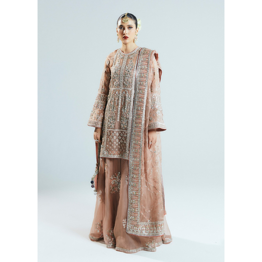 Dune organza suit by Hussain Rehar - top Pakistani designer wear at Fatimaa Store