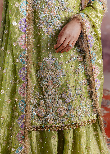 Shadan - Inspired by Sara Rohale Asghar