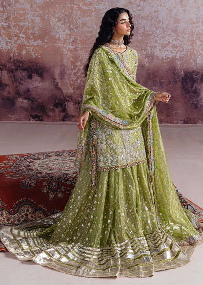 Shadan - Inspired by Sara Rohale Asghar