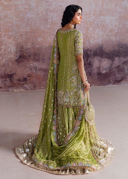 Shadan - Inspired by Sara Rohale Asghar