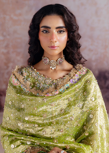 Shadan - Inspired by Sara Rohale Asghar