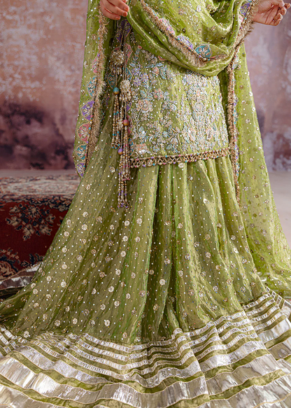 Shadan - Inspired by Sara Rohale Asghar