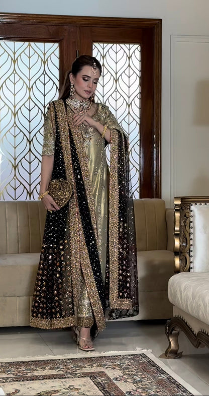 Haris Shakeel tissue masoori suit by Sumbul Iqbal - close up
