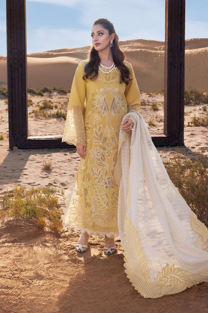 Rang Rasiya - Hoorain