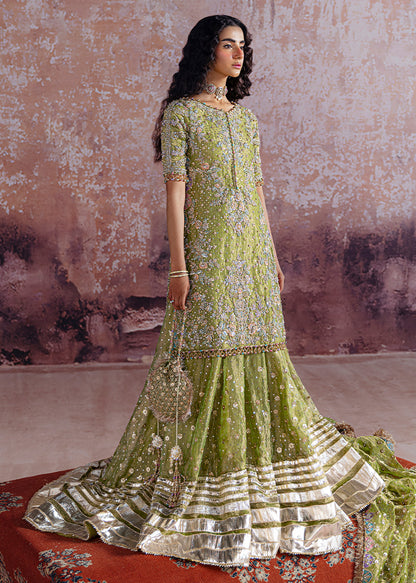 Shadan - Sara Rohale Asghar