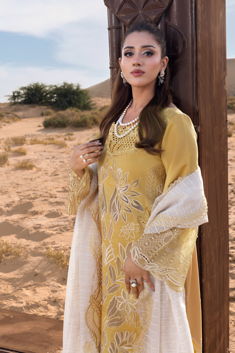Rang Rasiya - Hoorain
