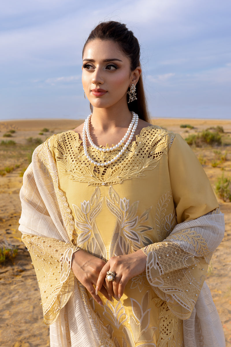Rang Rasiya - Hoorain