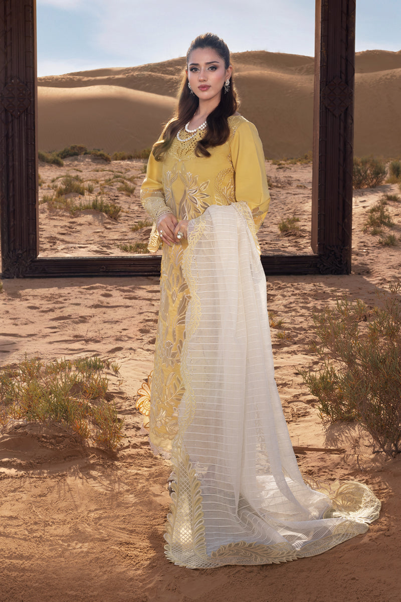 Rang Rasiya - Hoorain