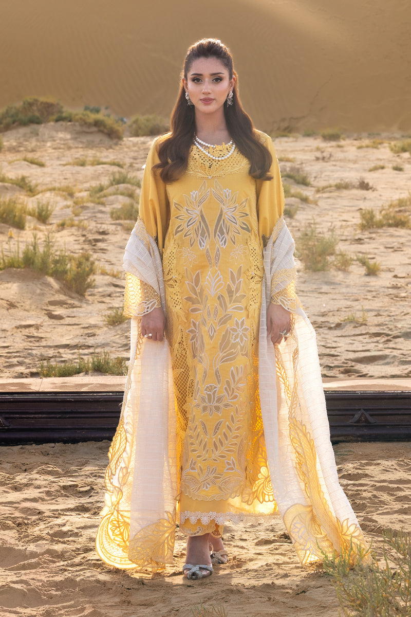 Rang Rasiya - Hoorain