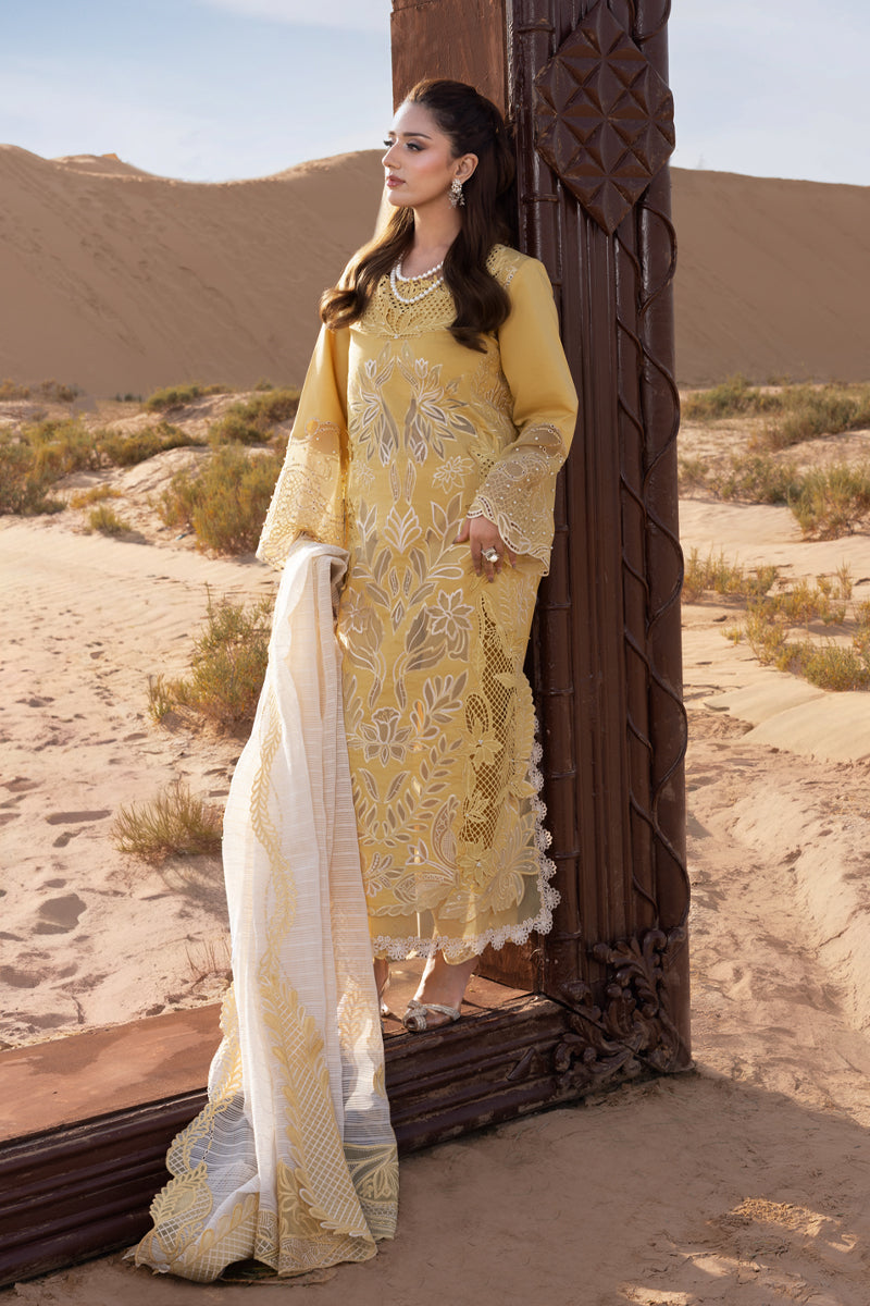 Rang Rasiya - Hoorain