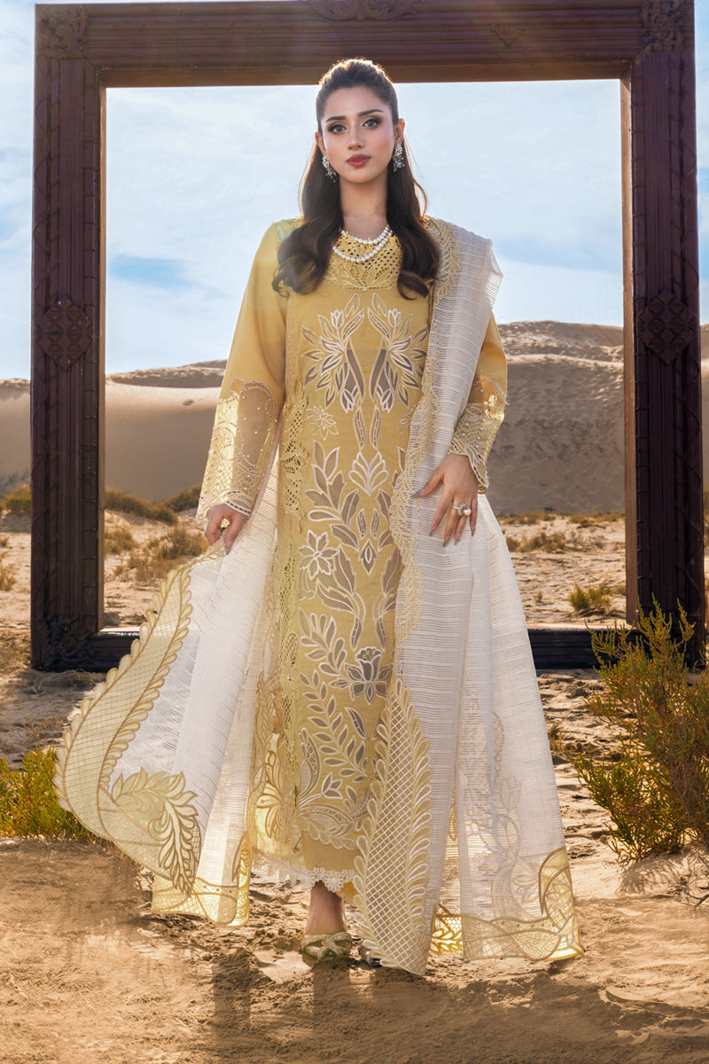 Rang Rasiya - Hoorain