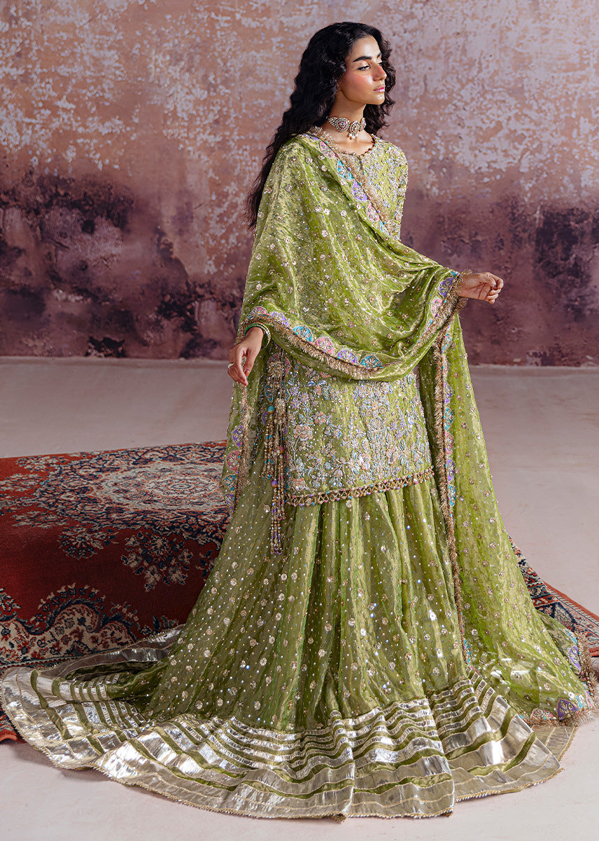 Shadan - Sara Rohale Asghar