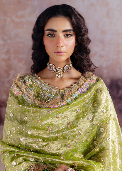 Shadan - Sara Rohale Asghar